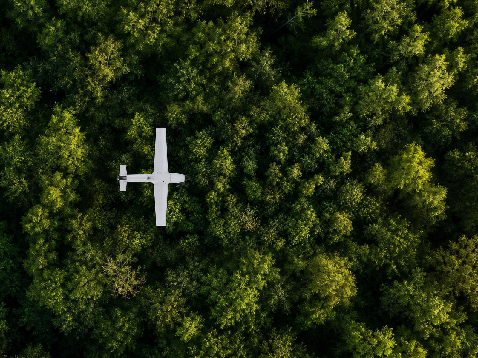 Overhead view of an autonomous Horus aircraft crossing forest terrain.